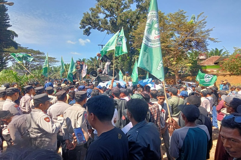 Petani Sawit
